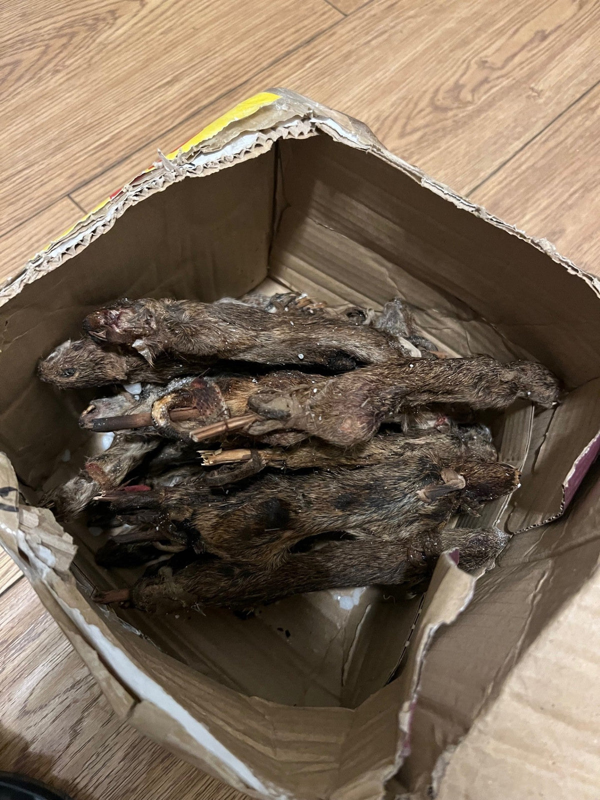 Dried & Fresh