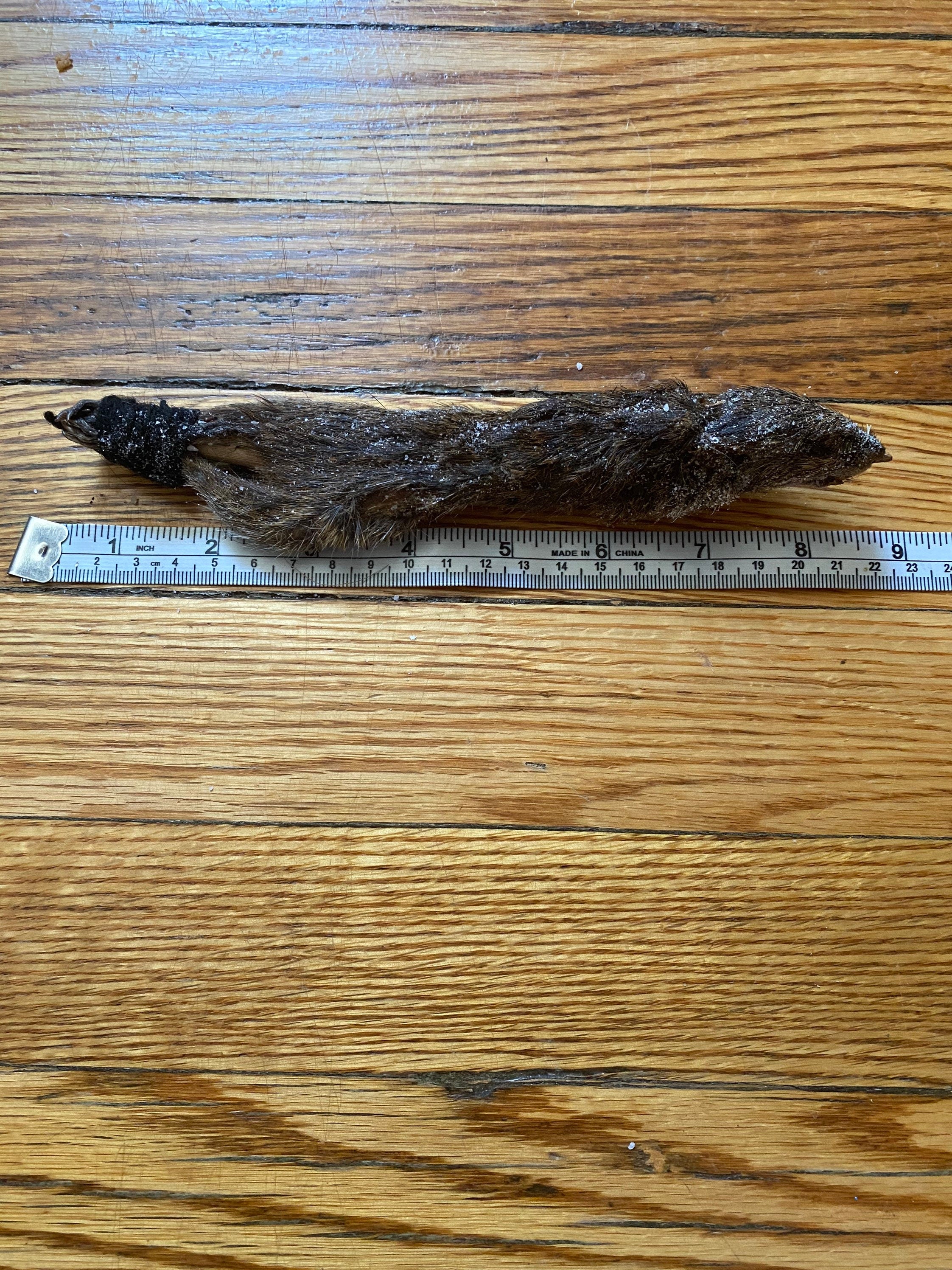 Pack of 5 Eku Entero