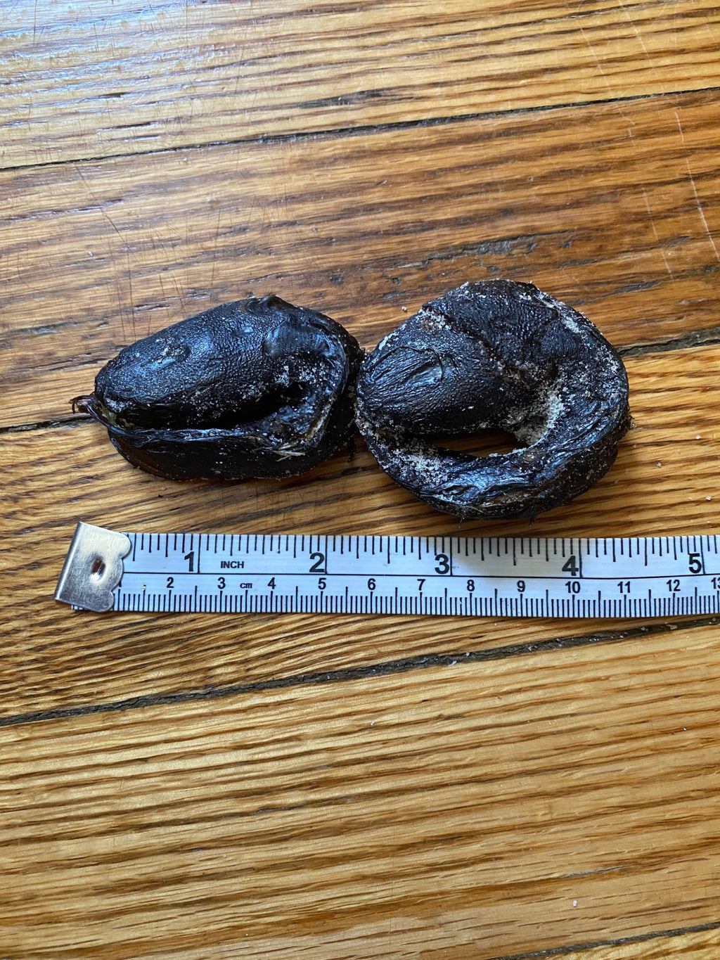 Pack of 5 Eja Entero bagre catfish