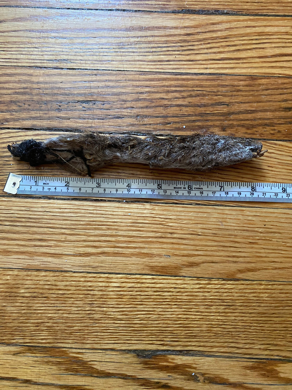 Pack of 5 Eku Entero